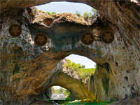 Mysterious Cave Forest Escape