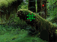 Wild Ostrish Escape